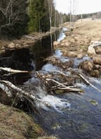 Zelený úterek „Inženýr bobr zasahuje“