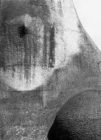 Galerie Nahoře: Miroslav Myška – FRAKTÁLY 1971 – 2025