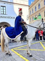 Svatomartinský košt vín v Třeboni