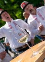 XV. otevřené sklepy Chvalovice