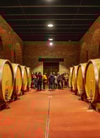 Putování po sklepích CHÂTEAU VALTICE