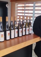 Představení nového ročníku vín z vinařství VICAN