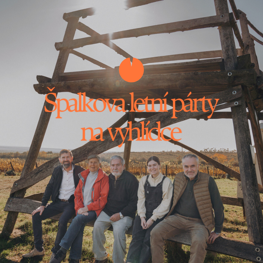 Špalkova letní párty na vyhlídce II.