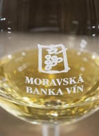 Řízená degustace vín z Vinařství Volařík