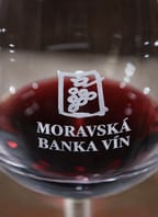 Procházka časem s Moravskou bankou vín