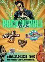 Rock’n’Roll Night vol. 2