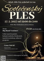 Společenský ples