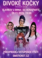 Travesti Divoké kočky Slavkov u Brna