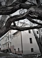 Festival Bartkův mlýn