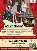 Ani za milion !