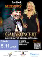 Kvítek medový v Nepomuku