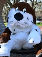 Narozeniny Maxipsa Fíka v Kadani 2026