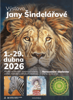 Výstava Jany Šindelářové: Krása zvířat, mandal a dětských ilustrací