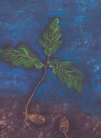 DEN S ARTETERAPIÍ: Růst ze stínu