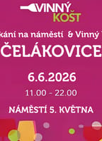 Vinný košt & setkání na náměstí v Čelákovicích