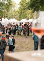 Strakonický festival vína