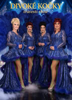 Travesti show Divoké kočky v KD Nýřany