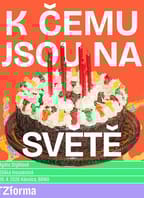 K ČEMU JSOU NA SVĚTĚ