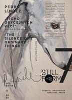 Stillform – Výstava Pedro Líndez  „Ticho obyčejných věcí“