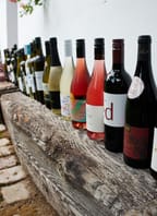 Festivalová stodola: Degustace festivalové kolekce vín