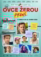 KINO – Ovce žerou první
