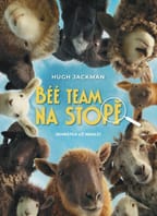 Béé team na stopě  (Irsko, V. Británie, Německo, USA)  2D