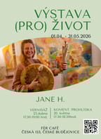 Výstava Jane H. – (PRO)ŽIVOT