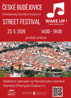 Festival WAKE UP