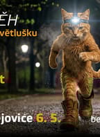 Noční běh pro Světlušku