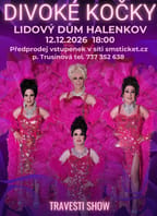 Travesti show Divoké kočky v Halenkově