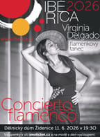 Virginia Delgado (ESP): Concierto flamenco