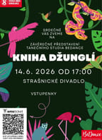 BeDance – Kniha džunglí