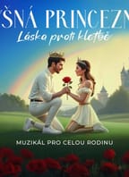 Pyšná princezna