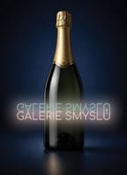 Galerie smyslů