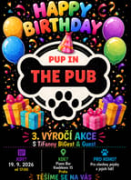 Pup in the Pub vol.12 – Happy Birthday