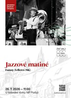 Jazzové matiné: FUNNY FELLOWS (SK)