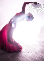 FLAMENCO NIGHT