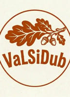 festival ValSiDub