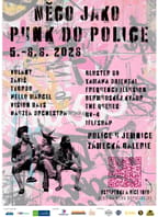 Něco jako Punk do Police