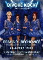 Travesti Divoké kočky v Praze