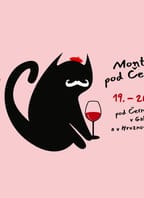 Montmartre pod Černou věží