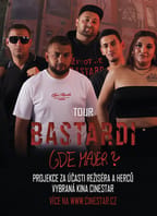 Bastardi: Gde Majer? Projekce s delegací