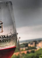 Řízená degustace vín – Vinařství Tanzberg