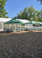 Hudební večery v Pivovarské zahradě Samson – SteySky