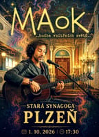 MAOK – Plzeň – Stará synagoga