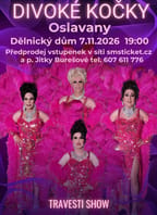 Travesti show Divoké kočky v Oslavanech