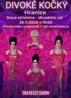 Travesti Divoké kočky v Hranicích