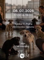 STILLFORM – JÓGA SE ŠTĚŇÁTKY | ART IN MOTION