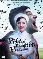 Přelet nad kukaččím hnízdem