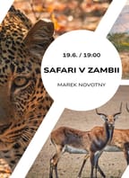 Safari v Zambii
